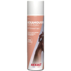Nettoyant main sec Aexamousse