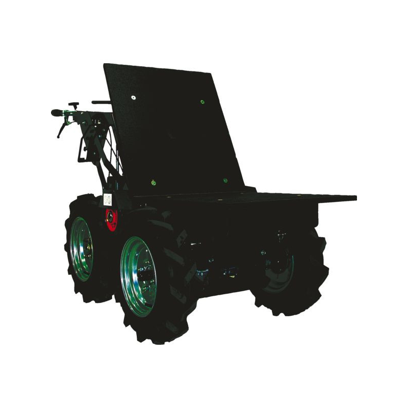 Mini transporteur BMD 300
