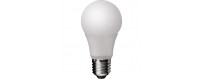 Ampoule