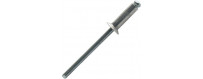 Rivet