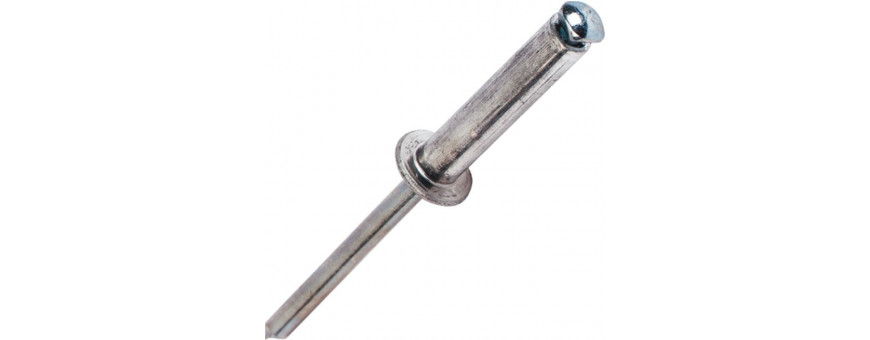 Rivet