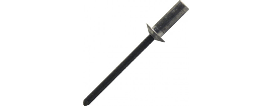 Rivet